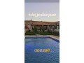 llbyaa-fyla-aal-tryk-alrod-alzbdany-ryf-dmshk-small-1