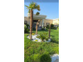 llbyaa-mzraa-fy-almlyh-ryf-dmshk-small-1