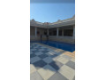 llbyaa-mzraa-fy-almlyh-ryf-dmshk-small-3