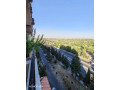 llbyaa-shk-aal-astrad-alfyhaaa-dmshk-small-2
