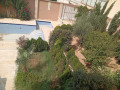 llbyaa-mzraa-tryk-almtar-dmshk-small-1