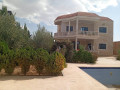 llbyaa-mzraa-tryk-almtar-dmshk-small-0