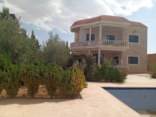 llbyaa-mzraa-tryk-almtar-dmshk