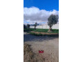 llbyaa-ard-fy-hrsta-ryf-dmshk-small-1