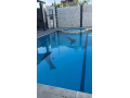 llbyaa-mzraa-tryk-almtar-dmshk-small-0