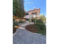 llbyaa-fyla-fy-kr-alsham-ryf-dmshk-small-5
