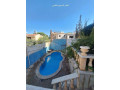 llbyaa-fyla-fy-kr-alsham-ryf-dmshk-small-0
