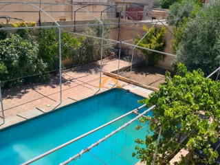 llbyaa-mzraa-tryk-almtar-ryf-dmshk