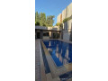 llbyaa-fyla-fy-kr-alsham-ryf-dmshk-small-3