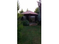 llbyaa-mzraa-tryk-almtar-dmshk-small-2