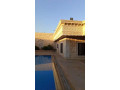 llbyaa-mzraa-tryk-almtar-dmshk-small-5