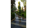 llbyaa-mzraa-tryk-almtar-dmshk-small-1