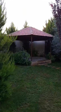 llbyaa-mzraa-tryk-almtar-dmshk-big-2