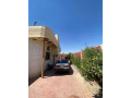 llbyaa-mzraa-fy-alsbor-ryf-dmshk-small-3