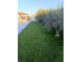 llbyaa-fyla-fy-yaafor-ryf-dmshk-small-2