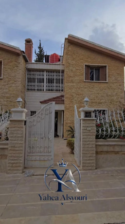 llbyaa-fyla-fy-kr-alsham-ryf-dmshk-big-2