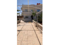 llbyaa-mzraa-fy-drosha-ryf-dmshk-small-0