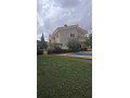 llbyaa-fyla-fy-kr-alsham-ryf-dmshk-small-3