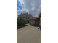 llbyaa-fyla-fy-kr-alsham-ryf-dmshk-small-0